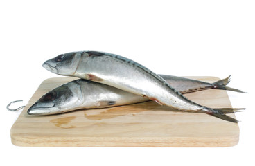 Fresh saba fish isolated on white background