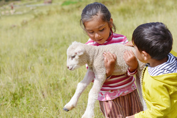 Little latin siblings with cute lamb in the countryside.