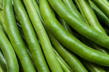 frische grüne Bohnen 