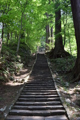羽黒山の石段 ／山形県鶴岡市の羽黒山は標高414mで、山岳信仰の中心地として有名です。参道は瑞心門から国宝の五重塔を通り、上ること2446段と、神社では石段の数で日本一です。出羽三山神社までは車での参拝も出来ますが、パワースポットの御利益は、徒歩の方が上と言わています。