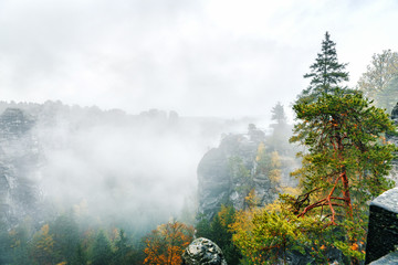 Foggy landscape of canyon and pine forest in National Park Saxony Switzerland, Germany. Spectacular and picturesque scene. Popular travel destination in Saxony, UNESCO world heritage site.