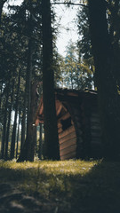 Alcuni Scatti del Wildpark Poing in Germania 