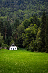 Mountain landscape with white barn or cabin in the distance across a green meadow. Vertical shot.