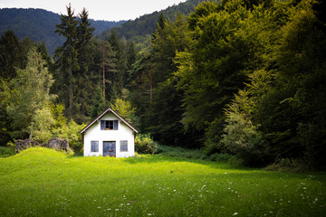 Mountain landscape with white cabin or barn in the forest across the green meadow. Summer mountain landscape with copy space. Hideaway and tranquillity view.