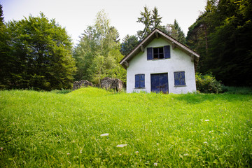 Little white cabin or barn in a green meadow, shoot from low point of view, with copy space.