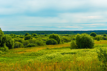 Fototapeta na wymiar Russian expanses. summer rural landscape