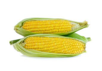 Corn on white background