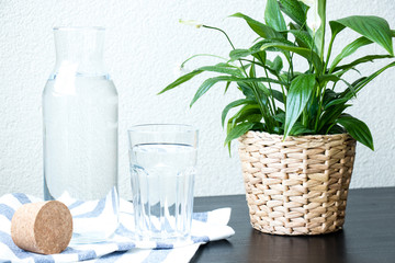 A glass and bottle of water, green plant in a pot on the table with a blurred background.
