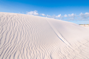 Fototapeta na wymiar lancelin Dunes Natural Preserve, western Australia