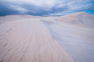 lancelin Dunes Natural Preserve, western Australia