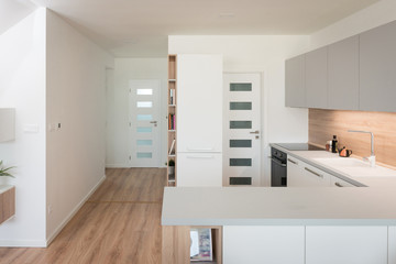 Interior of contemporary kitchen with built-in appliances