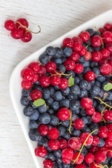 Fresh forest blueberries and frozen currants on a white background. Top view