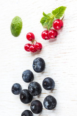 Blueberries and red currants, a sprig of mint on a white background