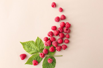 Sweet ripe raspberry on light background