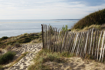 Fototapeta na wymiar France. The landscapes of the Dunes du PIlat at the Atlantique coast