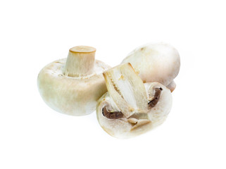Mushroom champignon isolated on white background