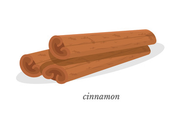 Cinnamon flat vector illustration with calligraphy