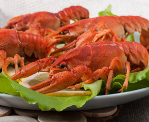 Seafood with lemon and green salad on a fabric background.