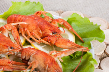 Seafood with lemon and green salad on a fabric background.