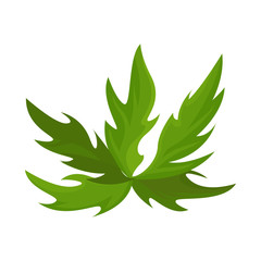 Vector illustration of bush and green sign. Set of bush and plant stock vector illustration.