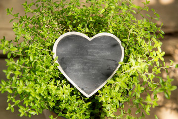 Heart shaped sign with space for greeting text, natural outdoors background