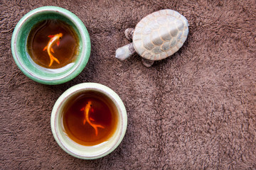 tea cup ceramic turtle wool background 