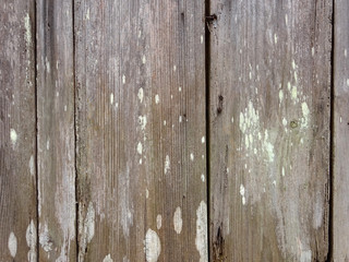 Old wooden brown plank for background 