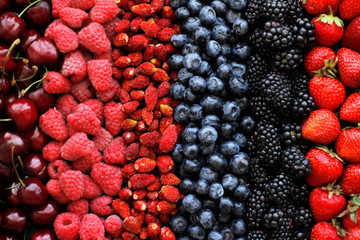 Variety of ripe fresh colorful berries in a row, top view