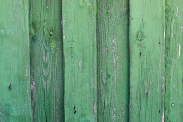 Fototapeta na wymiar Textured natural green wooden background for design mockups
