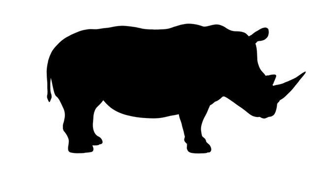 Rhino silhouette. Turntable animation.