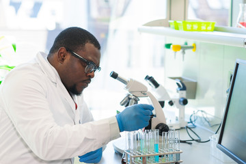 African-american scientist working in lab. Doctor making microbiology research. Laboratory tools: microscope, test tubes, equipment. Biotechnology, chemistry, bacteriology, virology and health care. - obrazy, fototapety, plakaty