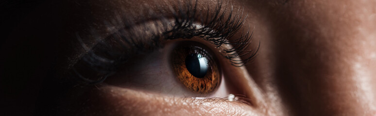 close up view of human brown eye with long eyelashes looking away in dark, panoramic shot