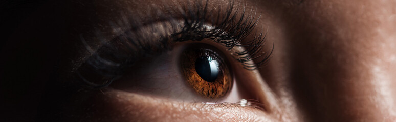 Naklejka premium close up view of human brown eye with long eyelashes looking away in dark, panoramic shot