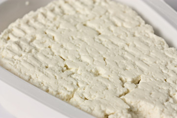 Cottage Cheese in plastic box