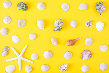 Pattern a seashell flat lay on  yellow color background