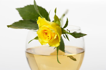 yellow rose and white wine