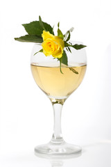 glass of champagne and rose on white background