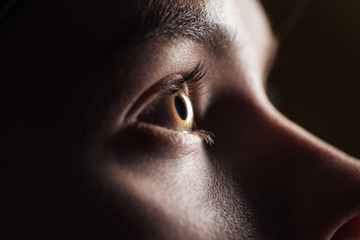 close up view of young woman eye with eyelashes and eyebrow looking away in darkness - Powered by Adobe