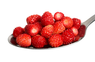 wild strawberry on spoon 