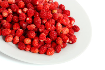 wild strawberries on a plate