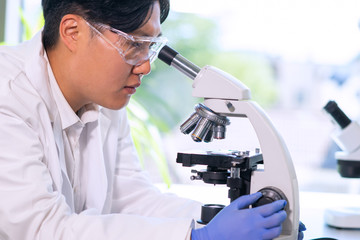 Asian medical doctor working in research lab. Science assistant making pharmaceutical experiments....