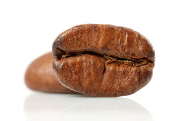 coffee beans isolated on white background