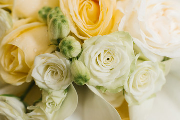 Obraz na płótnie Canvas pink and orange hybrid tea roses, flower background, wedding background