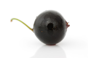 black currant isolated on white background