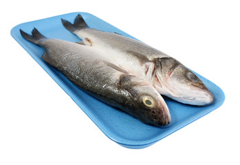 Trout. Isolated with clipping path. 