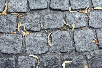 Abstract background with gray pavement stones