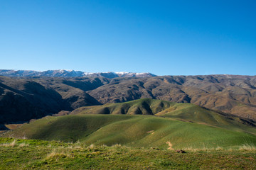 Agricultural farm land under the Southern Alps