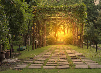 Garden corridor walkway through plant cover with flare - Powered by Adobe