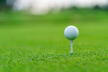 Golf ball on tee ready to be shot at golfcourt