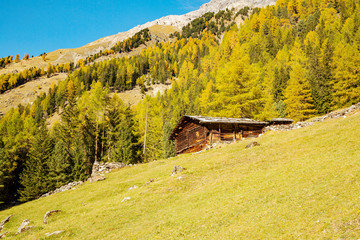 Bormio (IT) - Vista autunnale della Val Zebrù
